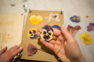 Flower drying press - herbarium