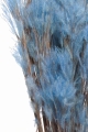 Ziergras, blau - Strauß ~25 Stück - Trockengräser