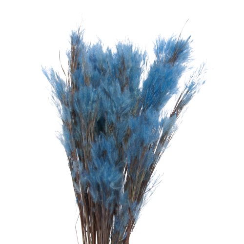 Ziergras, blau - Strauß ~25 Stück - Trockengräser