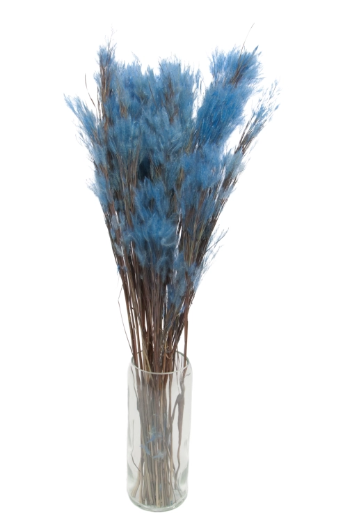 Ziergras, blau - Strauß ~25 Stück - Trockengräser