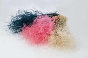 Dried natural Stipa feather (Stipa pennata) - bunch