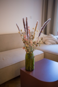 Set von Trockenblumen für Vase - Nigella, Rittersporne, Phalaris, Pampasgras