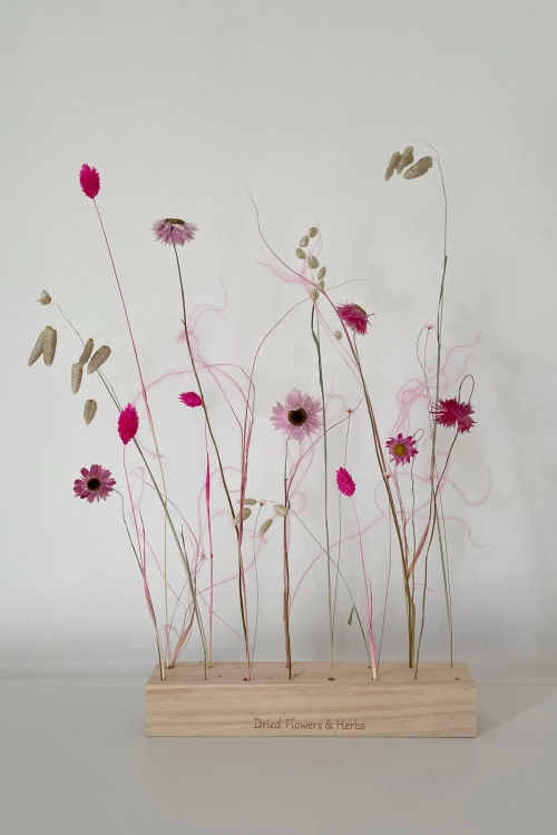 Miniset Trockenblumen - Acroclinium, Phalaris, Briza, Glixia, Rittersporne