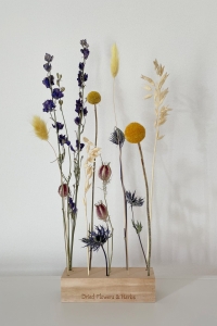 Set von blau Trockenblumen - Craspedia, Rittersporne, Eryngium, Lagurus, Nigella, Hafer
