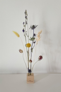 Set von blau Trockenblumen - Craspedia, Rittersporne, Eryngium, Lagurus, Nigella, Hafer