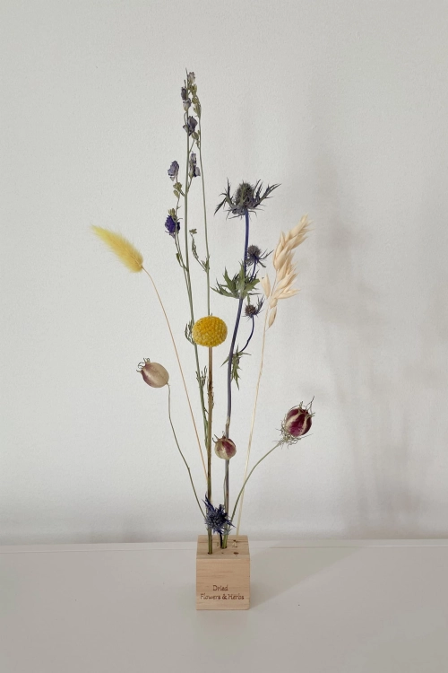 Set von blau Trockenblumen - Craspedia, Rittersporne, Eryngium, Lagurus, Nigella, Hafer