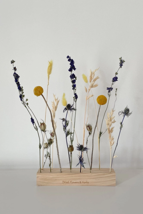 Set von blau Trockenblumen - Craspedia, Rittersporne, Eryngium, Lagurus, Nigella, Hafer