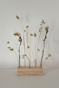 Set von natürlich Trockenblumen - Strohblumen, Briza, Phalaris, Stipa, Glixia