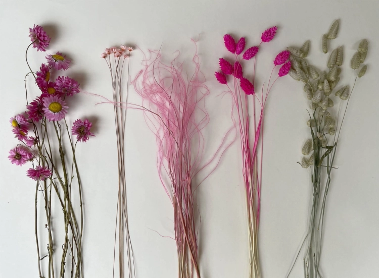 Miniset Trockenblumen - Acroclinium, Phalaris, Briza, Glixia, Rittersporne
