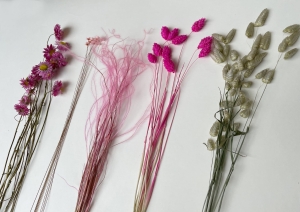 Miniset Trockenblumen - Acroclinium, Phalaris, Briza, Glixia, Rittersporne