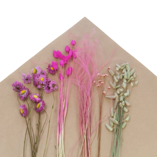 Set von rosa Trockenblumen - Acroclinium, Phalaris, Briza, Glixia, Rittersporne
