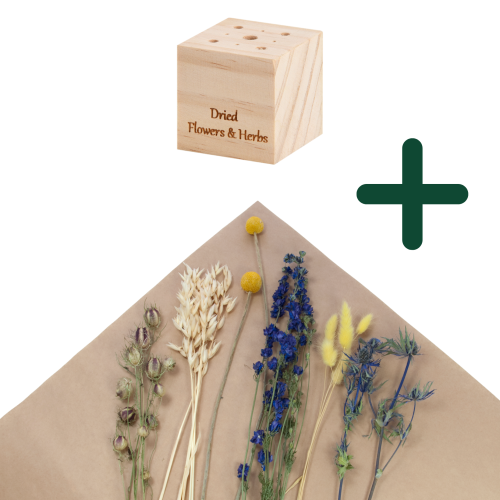 Set von blau Trockenblumen + Holzständer, klein