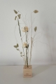Set von natürlich Trockenblumen + Holzständer, klein