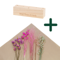 Set von rosa Trockenblumen + Holzständer, mittel