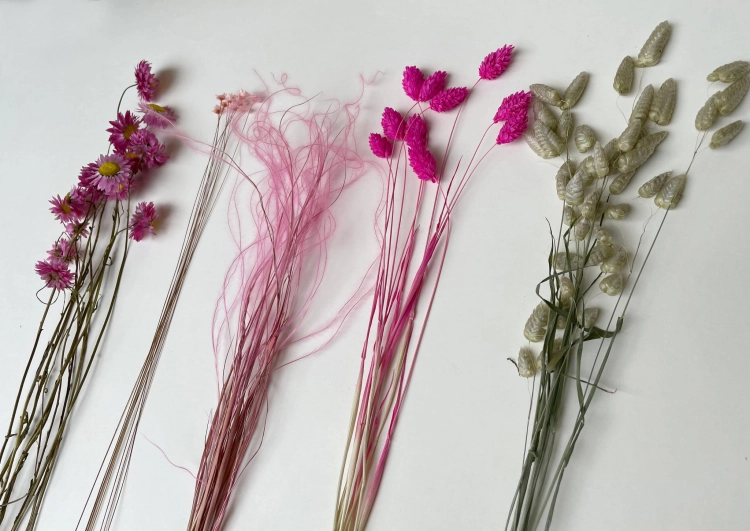 Set von rosa Trockenblumen + Holzständer, mittel