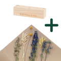 Set von blau Trockenblumen + Holzständer, mittel