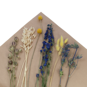 Set von blau Trockenblumen + Holzständer, mittel