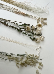 Set von natürlich Trockenblumen + Holzständer, mittel