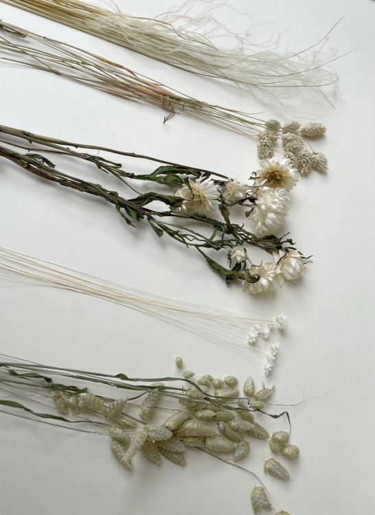 Set von natürlich Trockenblumen + Holzständer, mittel