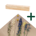 Set von blau Trockenblumen + Holzständer, groß