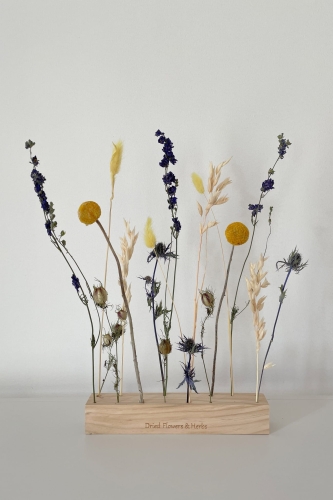 Set von blau Trockenblumen + Holzständer, groß