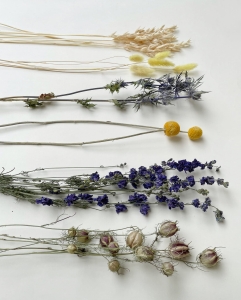 Set von blau Trockenblumen + Holzständer, groß