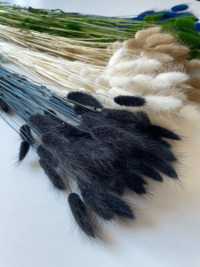 Dried black Lagurus - bunny tail grass ~60 stems