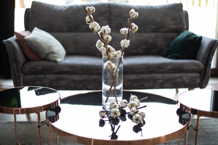 Dried cotton stem with 6 flowers