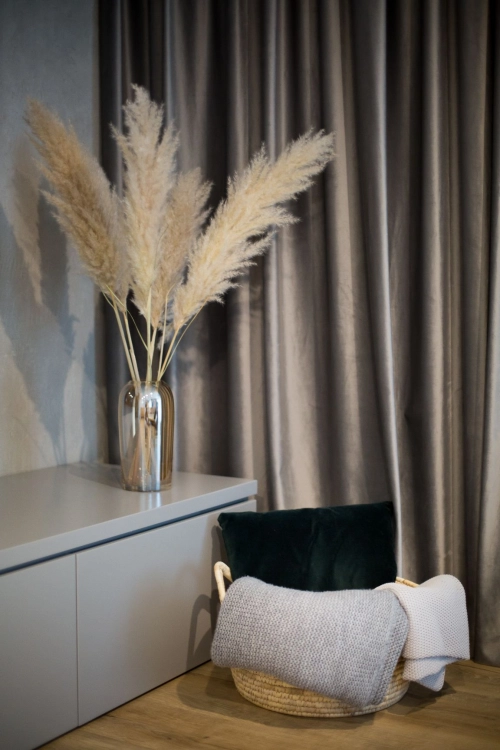 Set of 3 stems - dried ecru pampas grass 115 cm