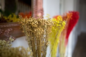 Dried natural Linum (Flax) - bunch - dried flowers