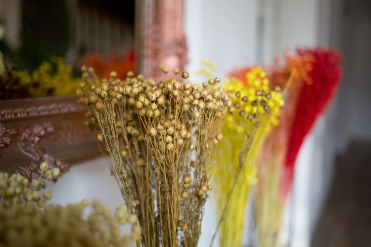 Dried natural Linum (Flax) - bunch - dried flowers