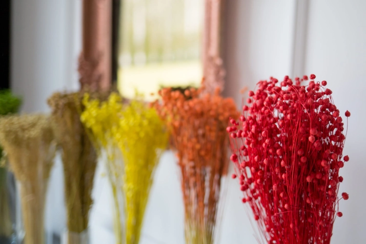 Flachs rot - Strauß - Trockenblumen