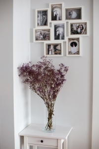 Dried violet gypsophila - bunch - dried flowers