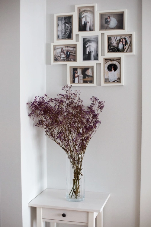 Dried violet gypsophila - bunch - dried flowers