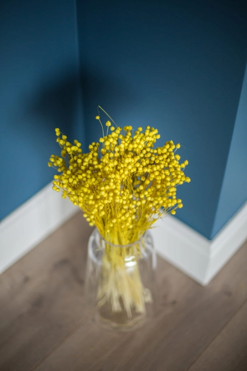 Dried yellow Linum (Flax) - bunch - dried flowers