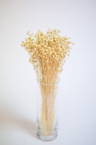 Flachs gebleicht - Strauß - Trockenblumen