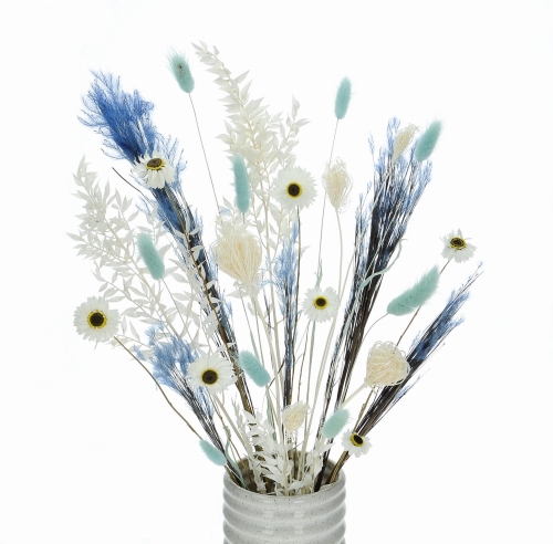 Set von Trockenblumen für Vase - Ruscus, Lagurus, Acroclinium, Fenchel, Ziergras
