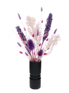 Set von Trockenblumen für Vase - Ruscus, Sorghum, Distel, Phalaris, Lagurus, Stipa