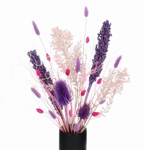 Set von Trockenblumen für Vase - Ruscus, Sorghum, Distel, Phalaris, Lagurus, Stipa