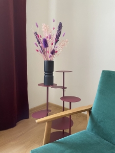 Set von Trockenblumen für Vase - Ruscus, Sorghum, Distel, Phalaris, Lagurus, Stipa