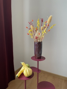 Set von Trockenblumen für Vase - Distel, Flachs, Phalaris, Hafer, Palmblatt