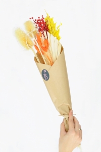 Set von Trockenblumen für Vase - Distel, Flachs, Phalaris, Hafer, Palmblatt