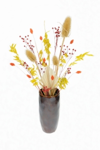 Set von Trockenblumen für Vase - Distel, Flachs, Phalaris, Hafer, Palmblatt