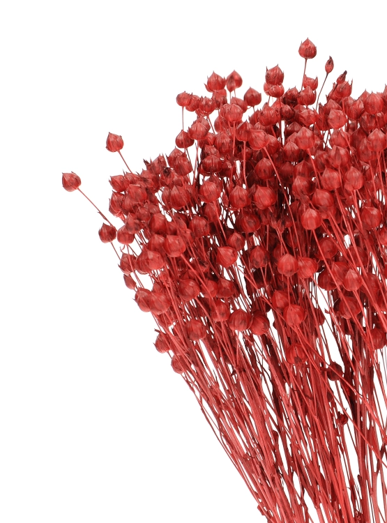 Flachs rot - Strauß - Trockenblumen