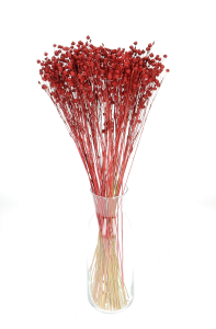 Flachs rot - Strauß - Trockenblumen