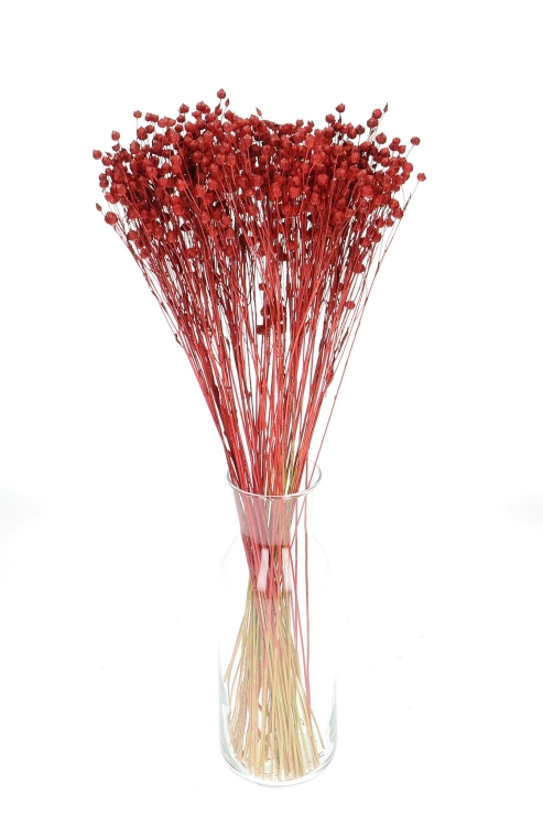 Flachs rot - Strauß - Trockenblumen