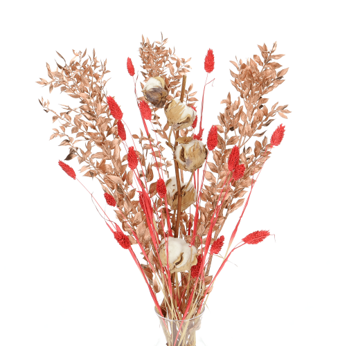 Set von Trockenblumen für Vase - Baumwolle, Ruscus, Phalaris