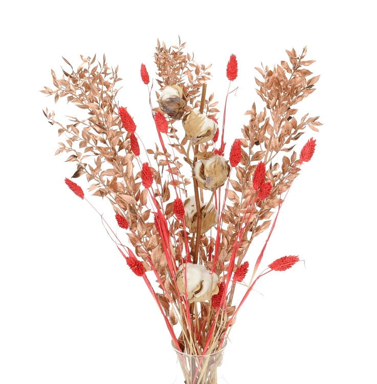 Set von Trockenblumen für Vase - Baumwolle, Ruscus, Phalaris