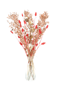 Set von Trockenblumen für Vase - Baumwolle, Ruscus, Phalaris