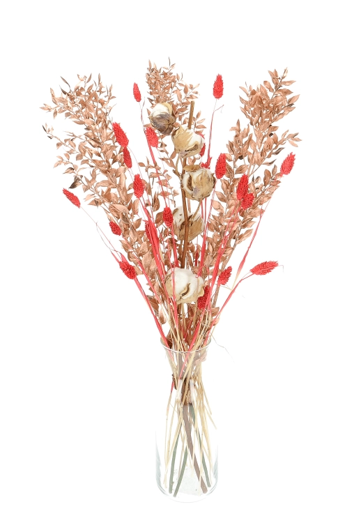 Set von Trockenblumen für Vase - Baumwolle, Ruscus, Phalaris